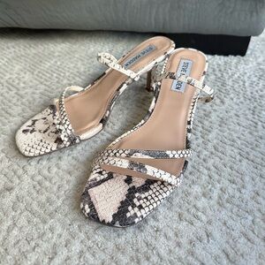 Steve Madden Kitten Heels